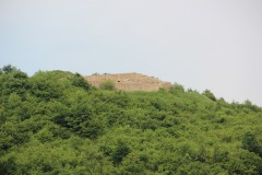 IMG_0388