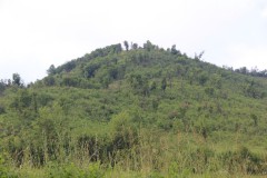 IMG_0400