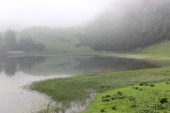 IMG_0405