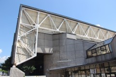 IMG_0500