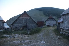 IMG_0625