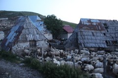 IMG_0630