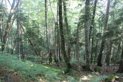 IMG_0659