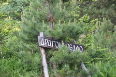 IMG_0661