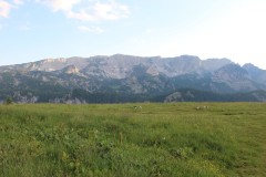 IMG_0665
