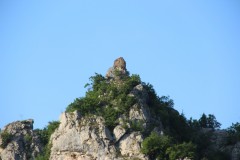 IMG_0719