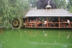 IMG_0784