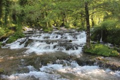 IMG_0963