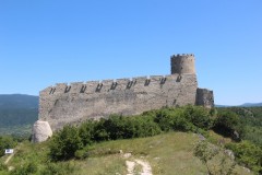 IMG_0986