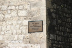 IMG_0991