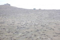 077-Isla-Magdalena