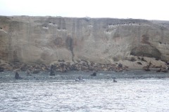 082-Isla-Magdalena