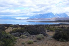 120-PN-Tierra-del-Fuego