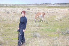 121-PN-Torres-del-Paine