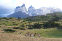 158-PN-Torres-del-Paine-Los-Cuernos