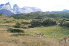 160-PN-Torres-del-Paine