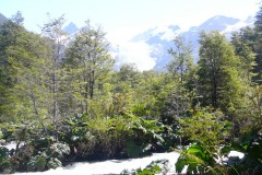 263-Ventisquero-Yelcho