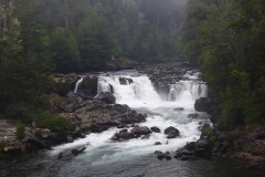 264-PN-Puyehue