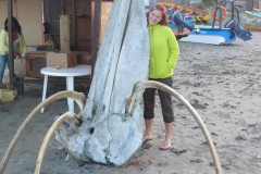 291-Chiloé-Playa-Brava
