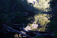 338-PN-Huerquehue-Lago-Chico