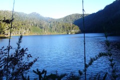 339-PN-Huerquehue-Lago-Verde