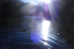 340-PN-Huerquehue-Lago-el-Torro