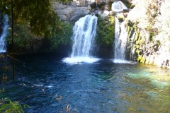 343-PN-Villarica-Ojos-del-Caburgua