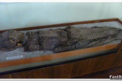 469-Iquique-Museo-Regional