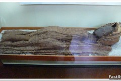 470-Iquique-Museo-Regional
