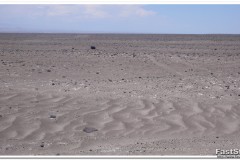 559-Atacama