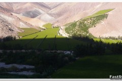 650-Valle-Elqui