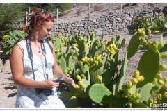 681-Hacienda-de-los-Andes