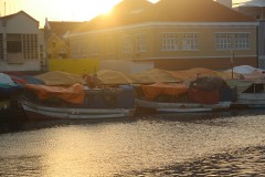 IMG_3834