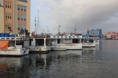 IMG_3871