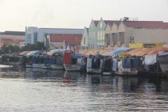 IMG_3872
