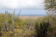 IMG_3884-Christoffel-NP