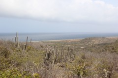 IMG_3889