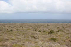 IMG_3900-Shete-Boca-NP
