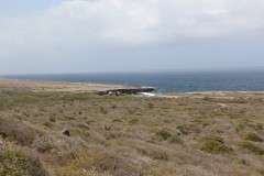 IMG_3901