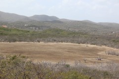 IMG_3904