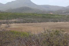 IMG_3905