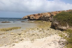 IMG_3909