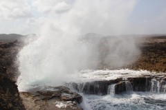IMG_3919