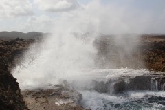 IMG_3920