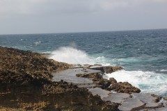 IMG_3925