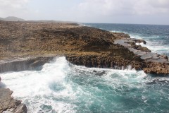 IMG_3926