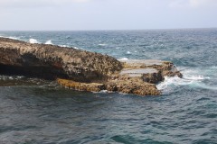 IMG_3932