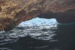 IMG_3939