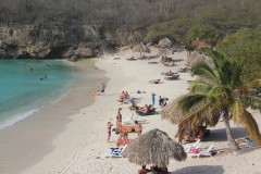 IMG_3961