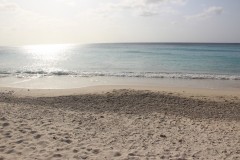 IMG_3964